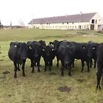 Penzion Pístina